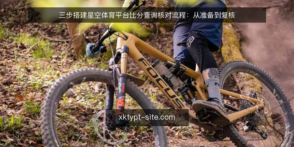 三步搭建星空体育平台比分查询核对流程:从准备到复核 — 先看清比分查询卡在哪一步 配图